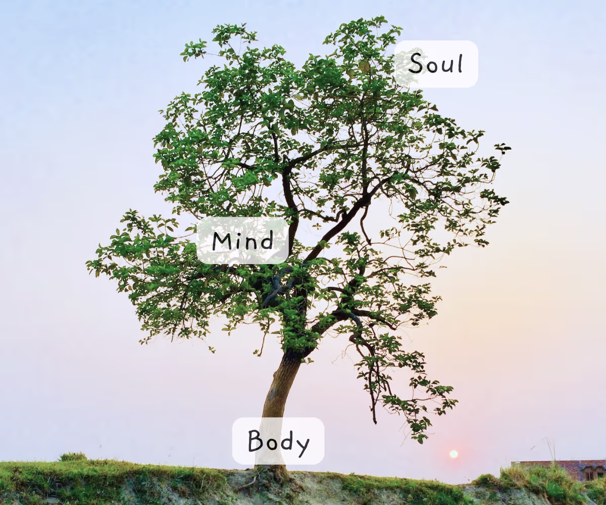 Wholeness